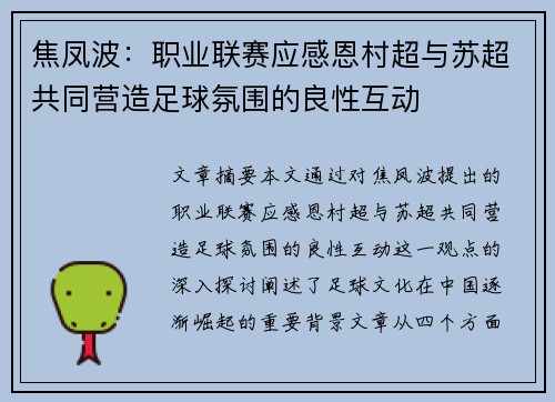 焦凤波：职业联赛应感恩村超与苏超共同营造足球氛围的良性互动
